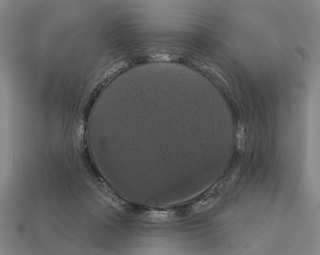 X0000111910314200909071202