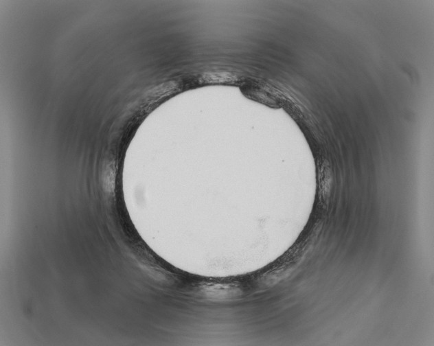 X0000111910315200909071202