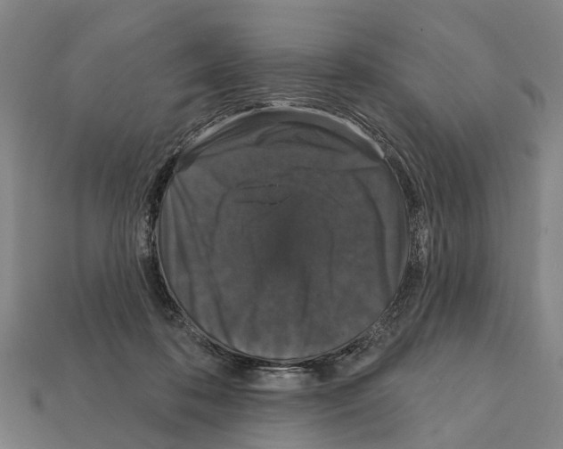 X0000111910316200909071202