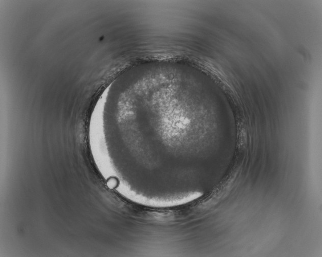 X0000111910317200909071202