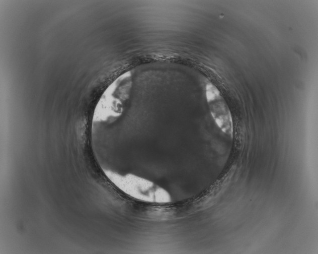 X0000111910319200909071202