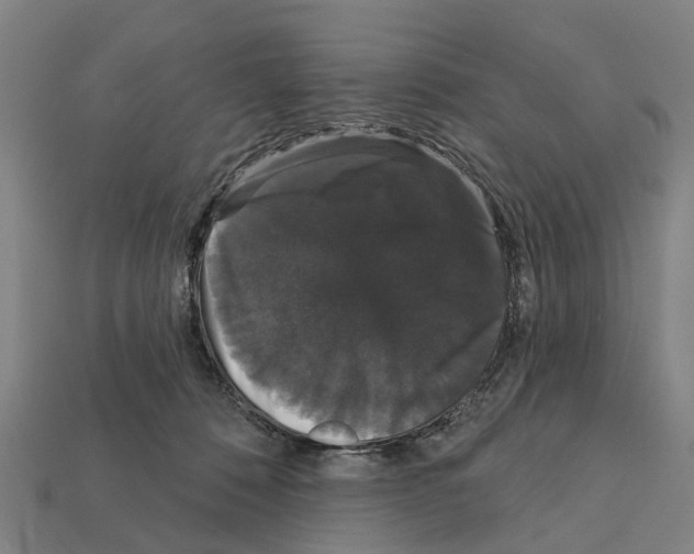 X0000111910320200909071202