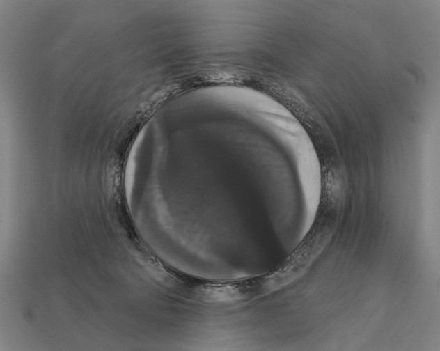 X0000111910322200909071202