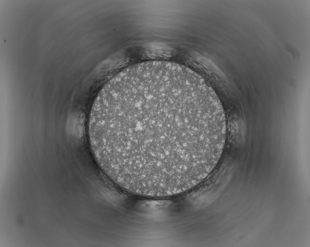 X0000111910323200909071202