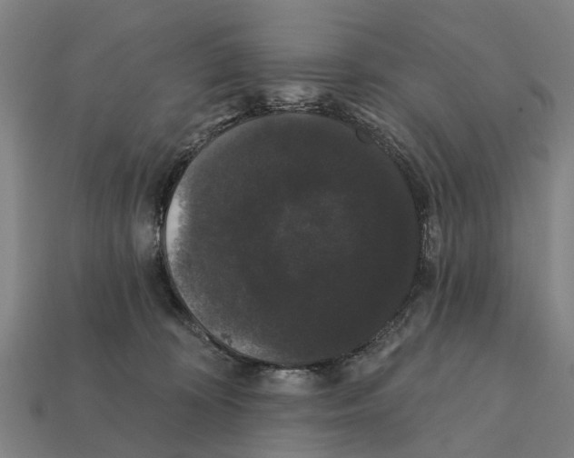 X0000111910324200909071202