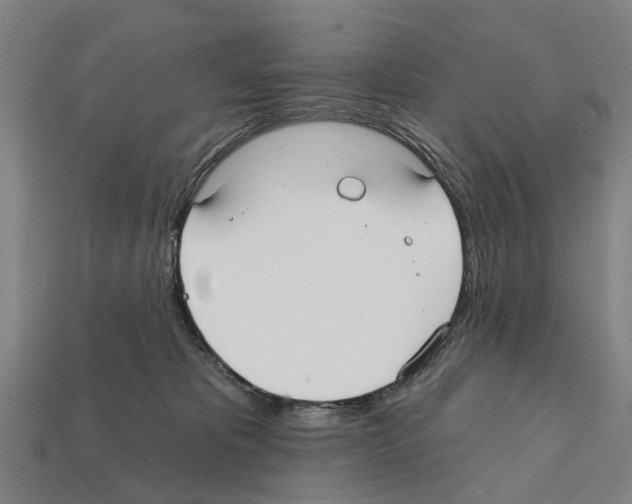 X0000111910325200909071202