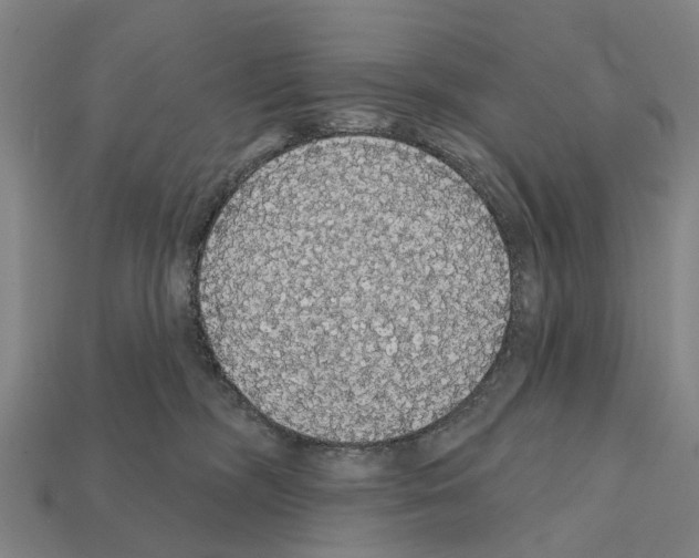 X0000111910326200909071202