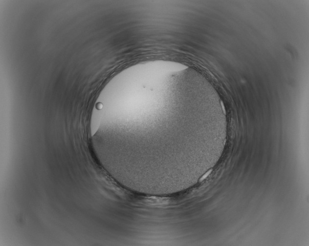 X0000111910328200909071202