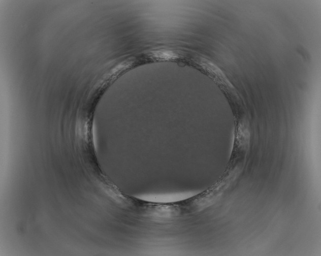X0000111910330200909071202
