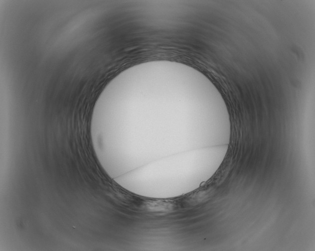 X0000111910331200909071202