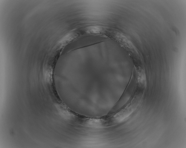 X0000111910332200909071202