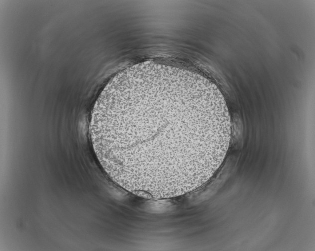 X0000111910333200909071202