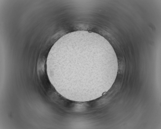 X0000111910334200909071202