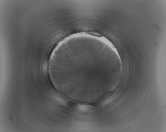 X0000111910336200909071202