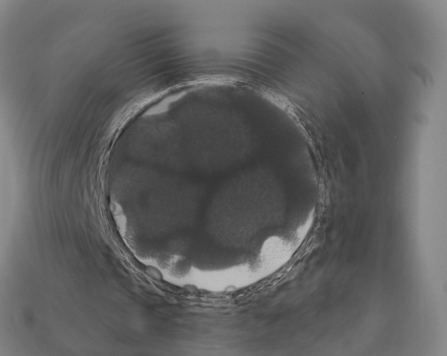 X0000111910337200909071201