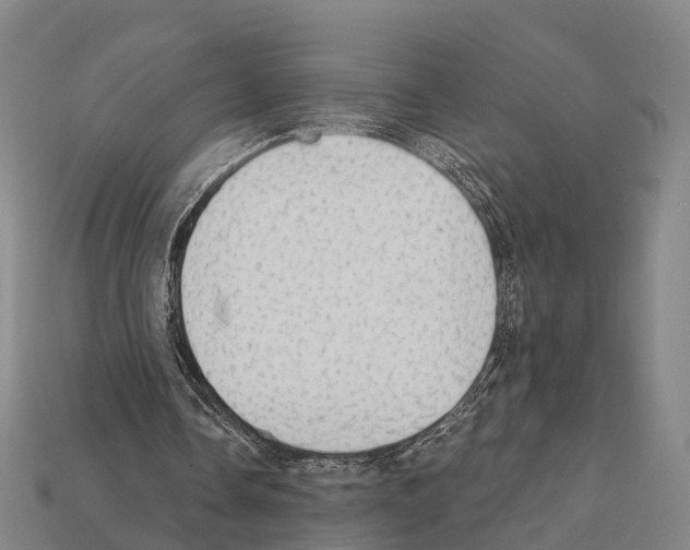 X0000111910338200909071201