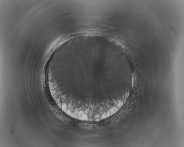 X0000111910339200909071201