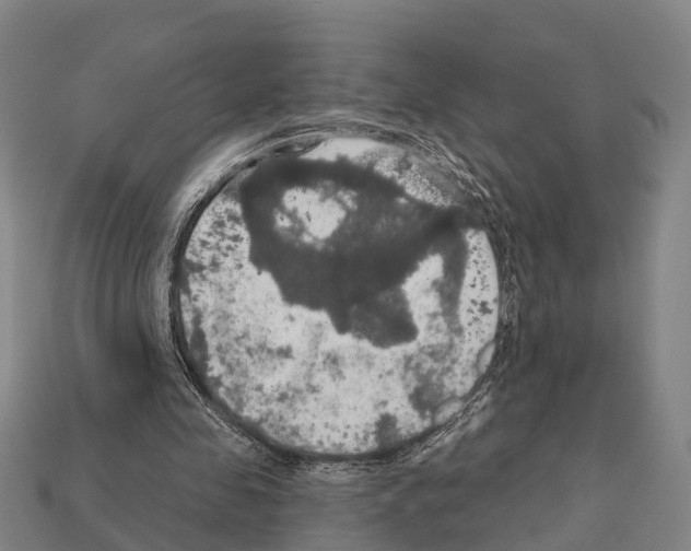 X0000111910341200909071201