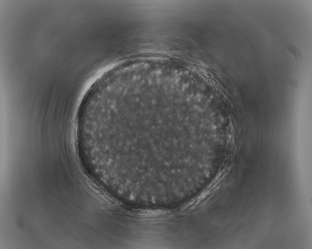 X0000111910342200909071201