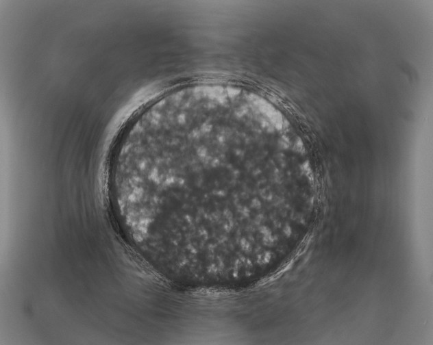 X0000111910343200909071201