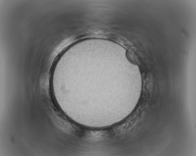 X0000111910344200909071201