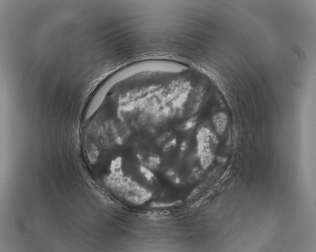 X0000111910345200909071201