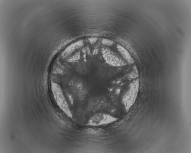 X0000111910346200909071201