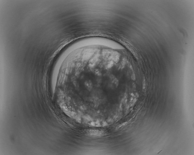 X0000111910347200909071201