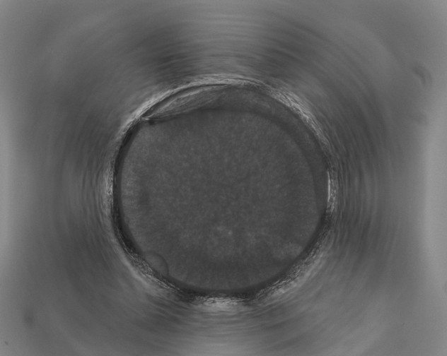 X0000111910348200909071201