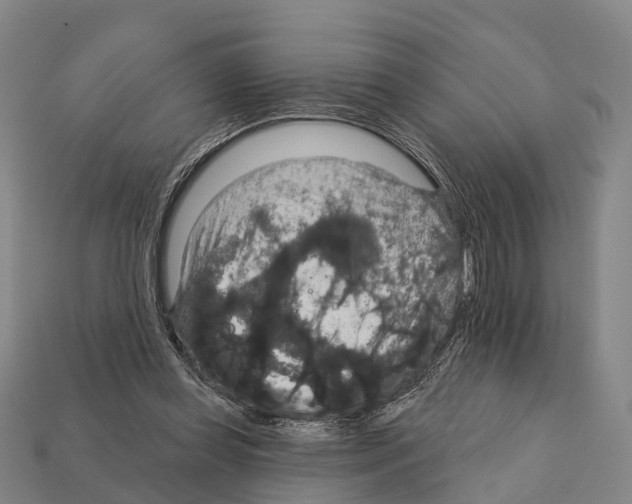 X0000111910349200909071201