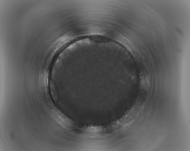X0000111910350200909071201