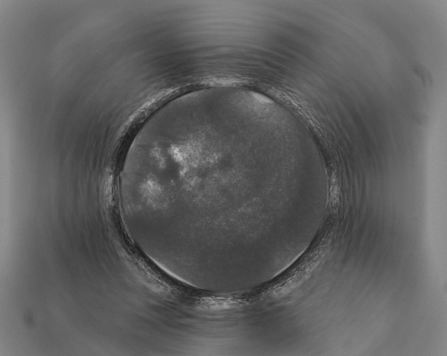 X0000111910351200909071201