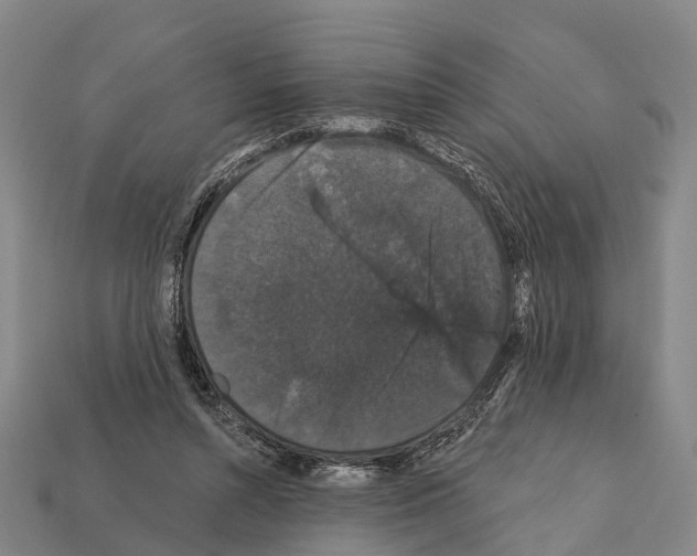 X0000111910352200909071201