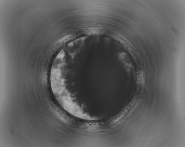 X0000111910353200909071201