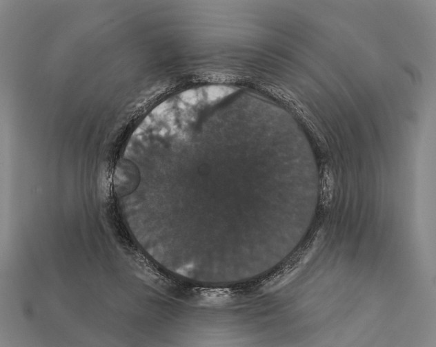 X0000111910355200909071201