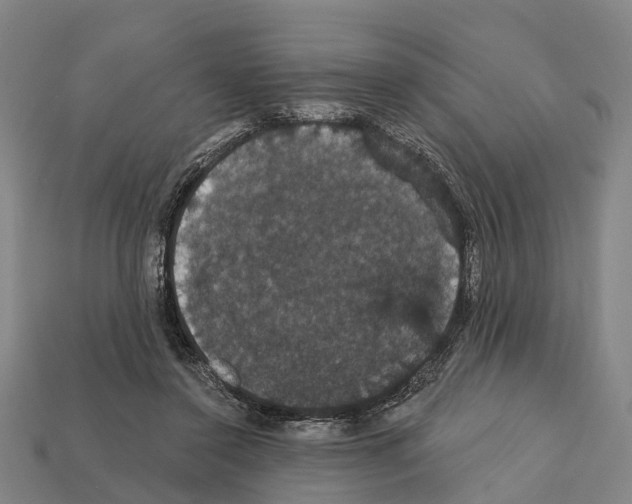 X0000111910356200909071201