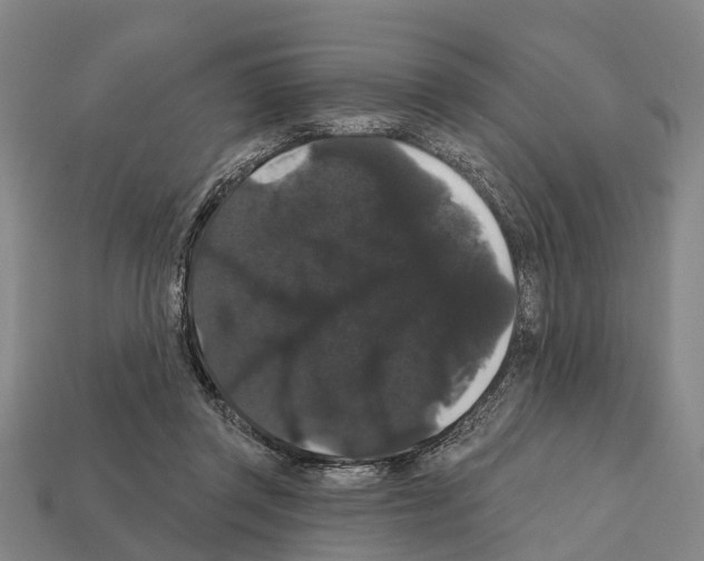 X0000111910357200909071201