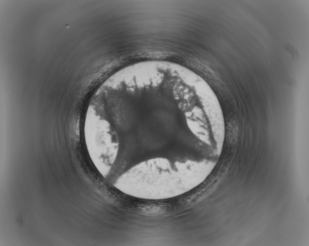 X0000111910358200909071201