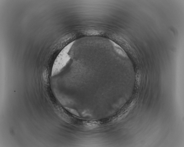 X0000111910359200909071201