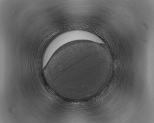 X0000111910360200909071201