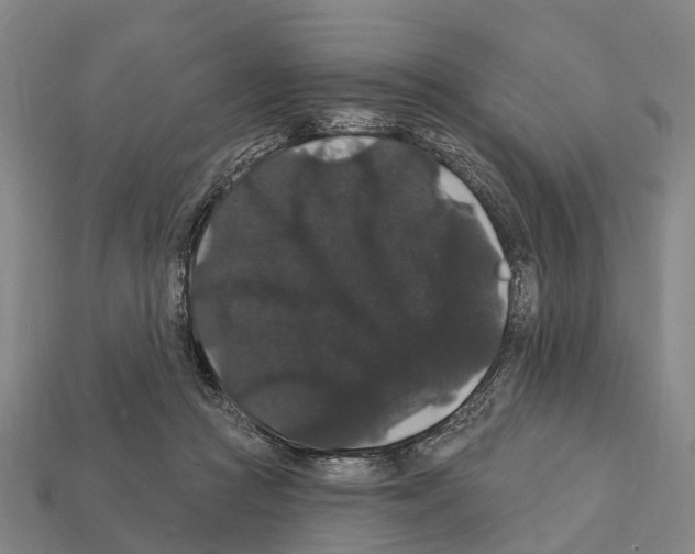 X0000111910361200909071201
