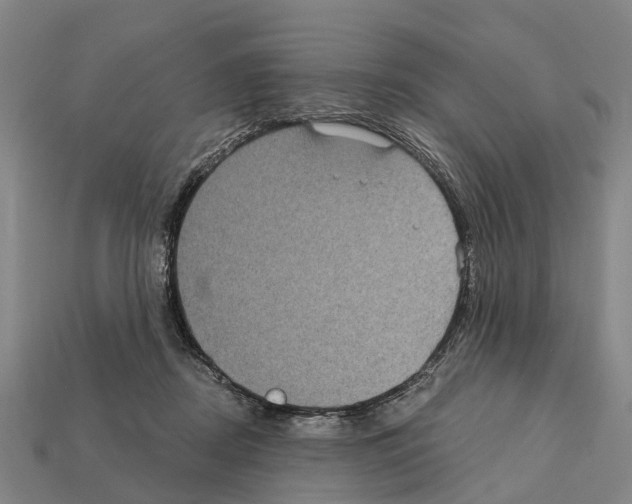 X0000111910362200909071201