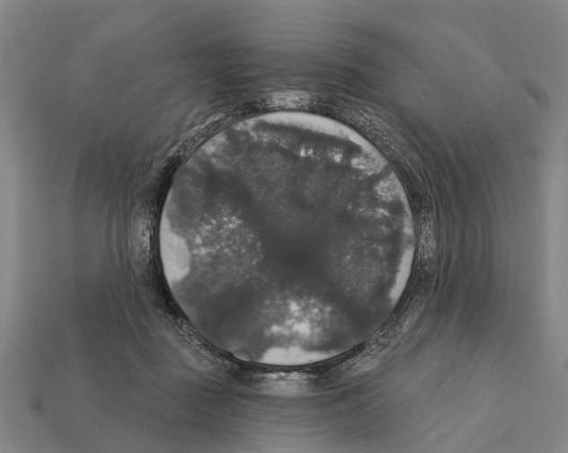 X0000111910363200909071201