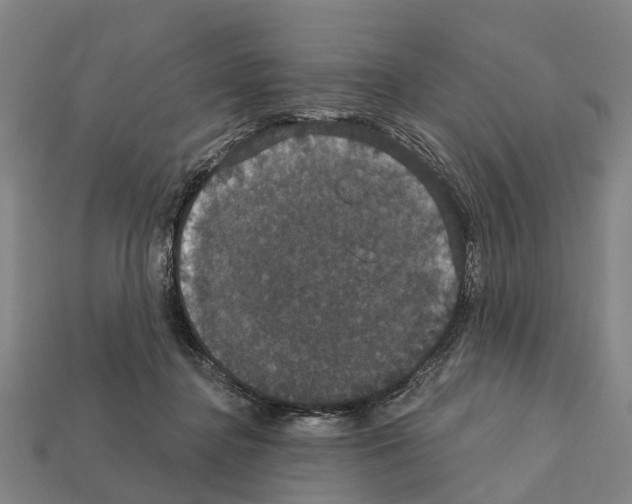 X0000111910364200909071201