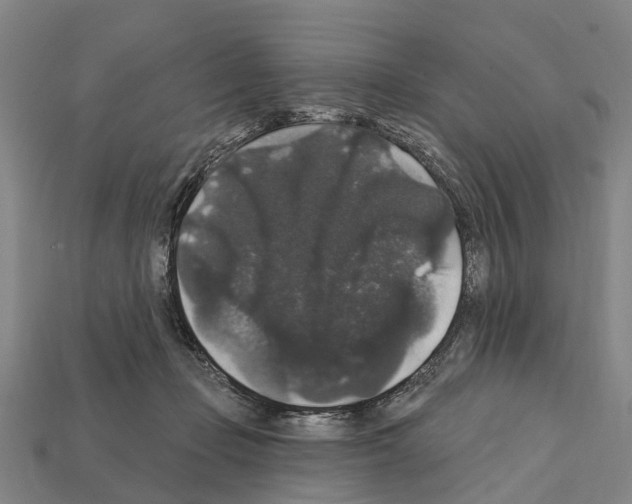 X0000111910365200909071201