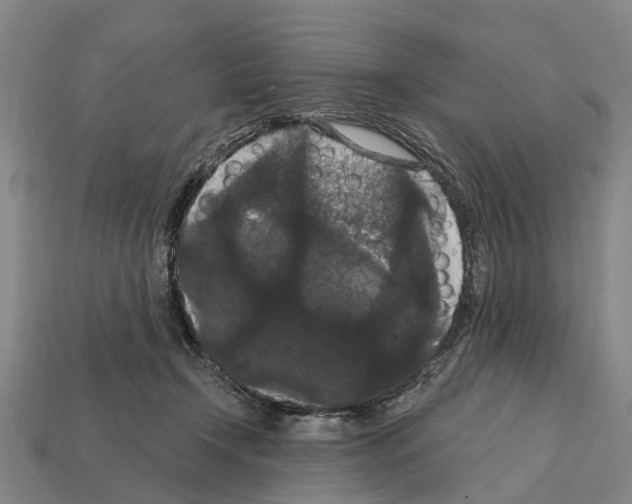 X0000111910366200909071201