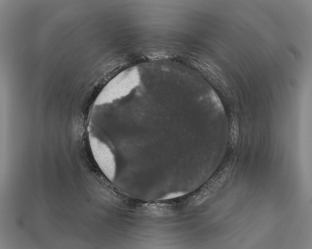 X0000111910367200909071201