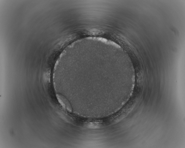 X0000111910368200909071201