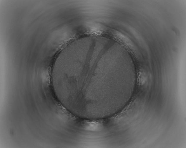 X0000111910370200909071201