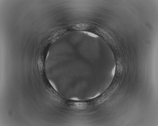 X0000111910371200909071201